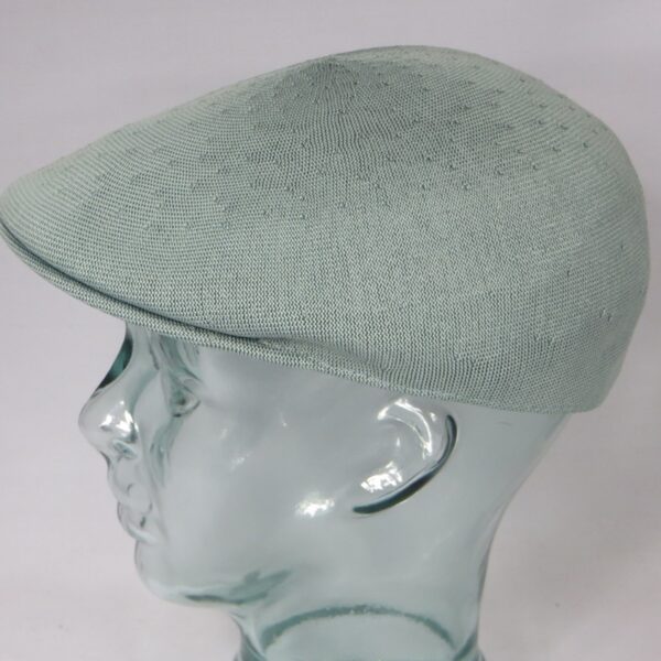 Kangol Seamless Tropic 507 Flatcap Schiebermütze Ivy Cap Gatsby grün salbei Neu